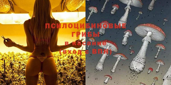 мет Снежногорск