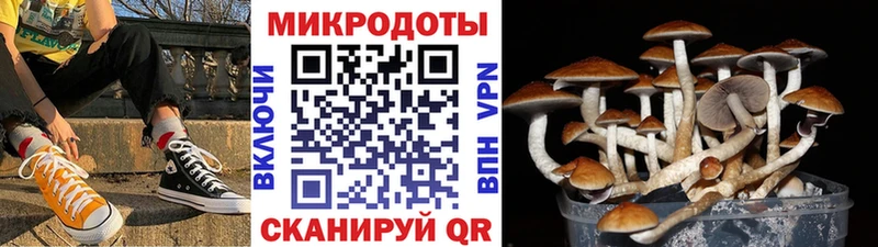 Галлюциногенные грибы мицелий Грязи