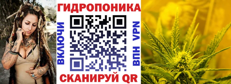 закладка  Грязи  Бошки Шишки Ganja 